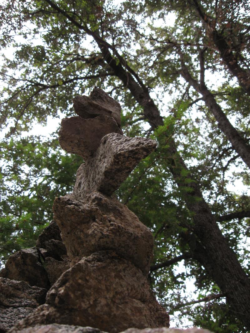 20090606016-Valley Forge, CORBA, Trailwork, National trails Day.jpg